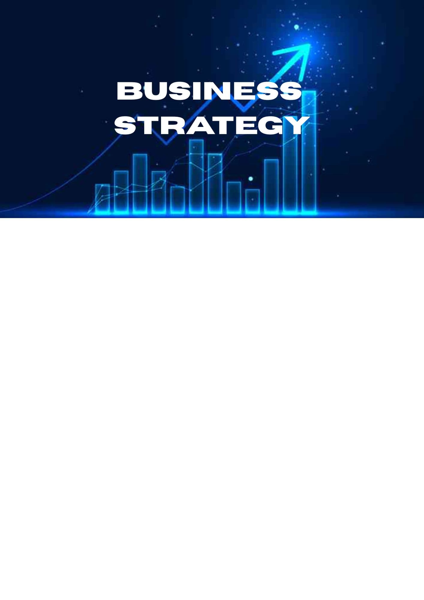 Finance Strategy